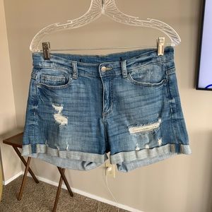 Francesca’s Jean Shorts